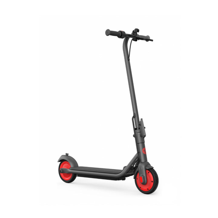 Ninebot eKickScooter Zing C20